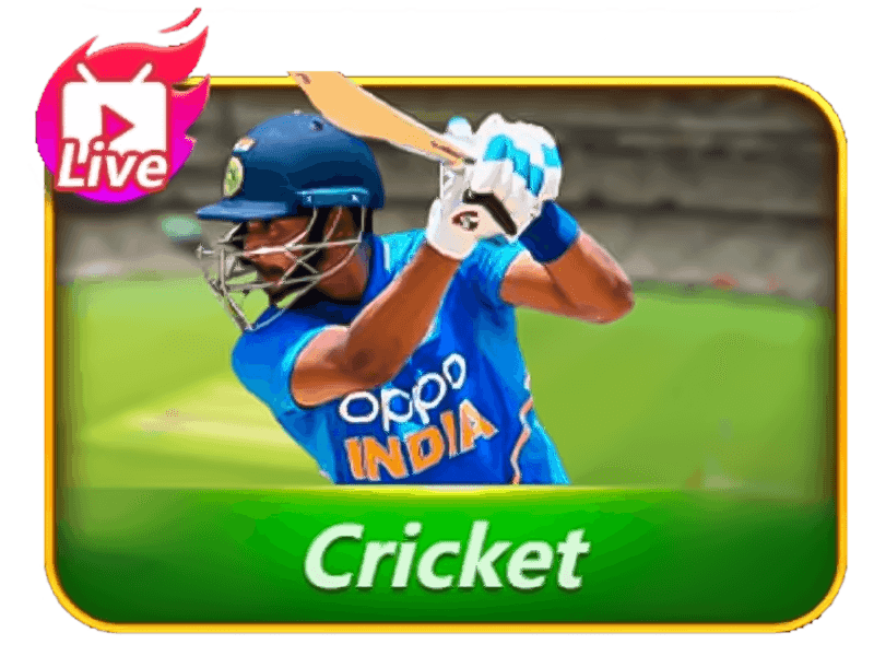 an image of a man using cricket live for teen patti stars